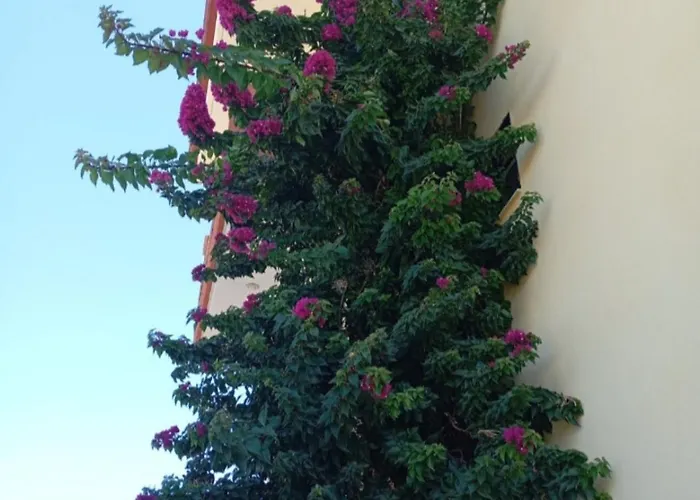 Ventus E Paradiso Halkidiki Nikiti (Sithonia)